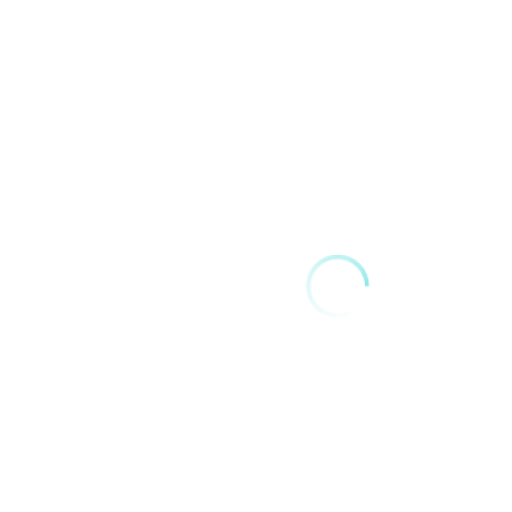 dashcam icon